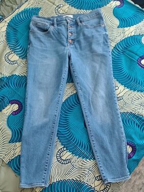 Madewell Light Blue High-Rise Button-Fly Skinny Jeans